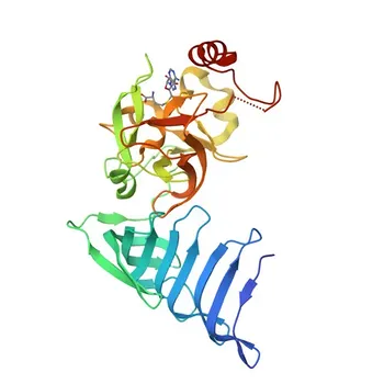 [KO Validated] Anti-SETD7 Polyclonal Antibody for WB, IF/ICC, ELISA - Q8WTS6
