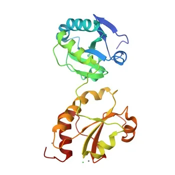 Anti-PDIA4 Rabbit Polyclonal Antibody - P13667