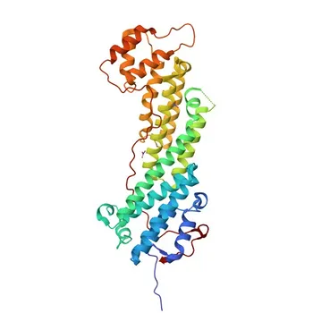 Anti-MYO5B Rabbit Polyclonal Antibody for WB, IF-P, ELISA - Q9ULV0