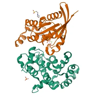 Anti-ARHGAP1 Rabbit Polyclonal Antibody for WB, IP, ELISA - Q07960