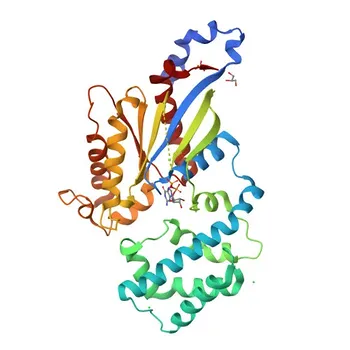 Anticorpo policlonale coniglio anti-GNAI1 per WB, ELISA - P63096