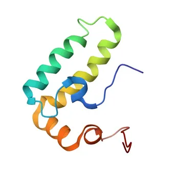 Anti-DNAJB9 Polyclonal Antibody for WB and ELISA - Q9UBS3