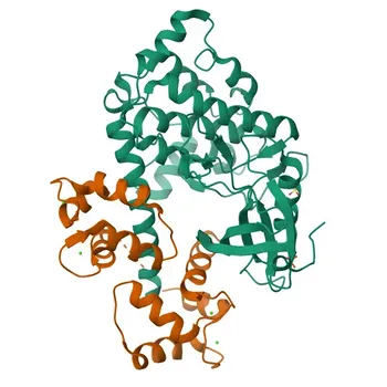 Anticorpo Monoclonale Anti-DAP Kinase 1 (DAPK1) per WB e ELISA - P53355