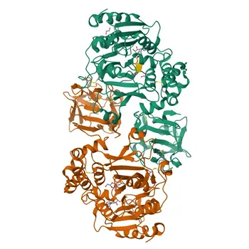 Anti-GALNT2 Rabbit Polyclonal Antibody for WB, IHC-P, IF/ICC, ELISA - Q10471