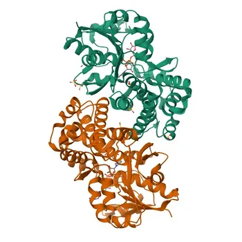 Anti-GPD1 Rabbit Polyclonal Antibody for WB and ELISA - P21695