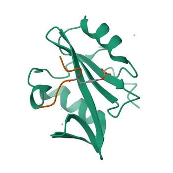 Anti-VAV2 Rabbit Polyclonal Antibody for WB, ELISA - P52735