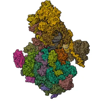 Anti-GTF2H1 Polyklonaler Antikörper für WB, IF/ICC, ELISA - P32780