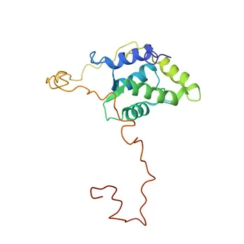 Anti-TPPP3 Rabbit Polyclonal Antibody for WB and ELISA - Q9BW30