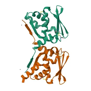 Anti-LGALS3BP Rabbit Polyclonal Antibody for WB, IF/ICC, ELISA - Q08380