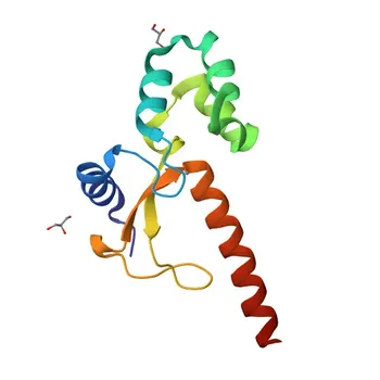 Anticorpo Policlonale Anti-ZRANB3 per WB, ELISA - Q5FWF4