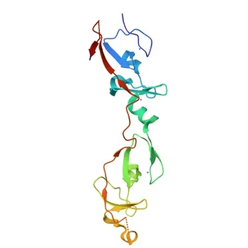 IF/ICC 및 ELISA용 Anti-LMO4 Rabbit Polyclonal Antibody - P61968