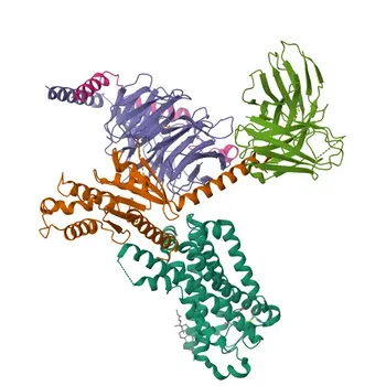 Anti-MTNR1A Rabbit Polyclonal Antibody for WB and ELISA - P48039