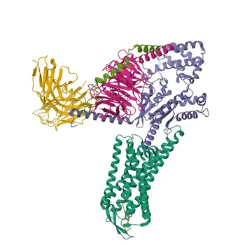 Anti-Gastrin Releasing Peptide (GRP) Polyclonal Antibody for WB, IHC-P, IF/ICC, ELISA - P07492