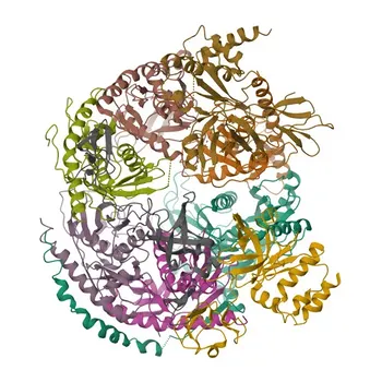 Anti-EXOSC7 Polyclonal Antibody for WB, ELISA - Q15024