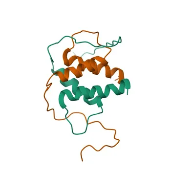 Anti-ID3 Rabbit Polyclonal Antibody for IHC-P, IF/ICC, ELISA - Q02535