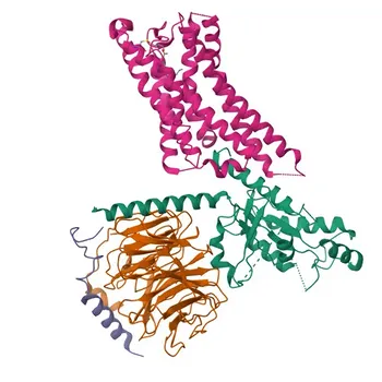 Anti-PGE receptor EP3 (PTGER3) Rabbit Polyclonal Antibody for WB, ELISA - P43115