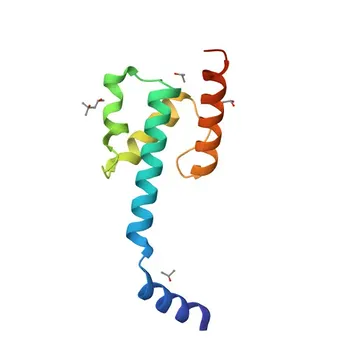 Anti-C14orf166/RTRAF Rabbit Polyclonal Antibody for WB, ELISA - Q9Y224