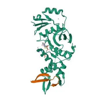Anti-KAT7 Rabbit Polyclonal Antibody for WB, IHC-P, IF/ICC, ELISA - O95251