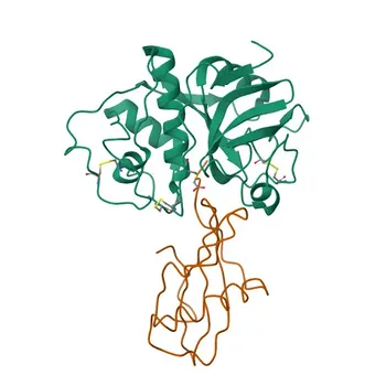 Anti-CSTB Polyklonaler Antikörper für WB, ELISA - P04080
