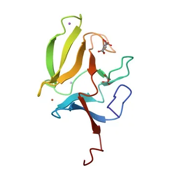 Anti-MSRB1 Polyclonal Antibody for WB, IHC-P, IF/ICC, ELISA - Q9NZV6