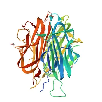 Anti-Adiponectin Polyclonal Antibody for WB, IHC-P, ELISA - Q15848