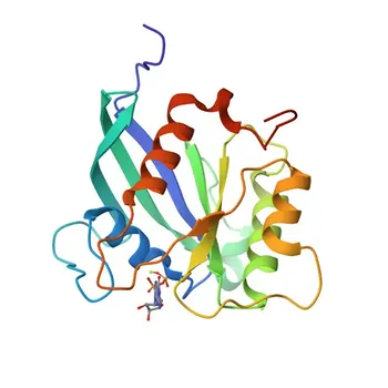 Anti-RHOT2 Rabbit Polyclonal Antibody for WB - Q8IXI1