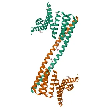 Anti-NASP Polyclonal Antibody for WB, IHC-P, ELISA - P49321