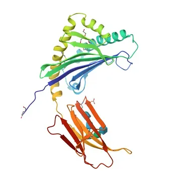 Anti-Prolactin-inducible protein (PIP) Polyclonal Antibody for IF/ICC, ELISA - P12273