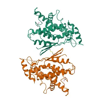 Anti-GDAP1 Polyclonal Antibody for WB, IHC-P, ELISA - Q8TB36
