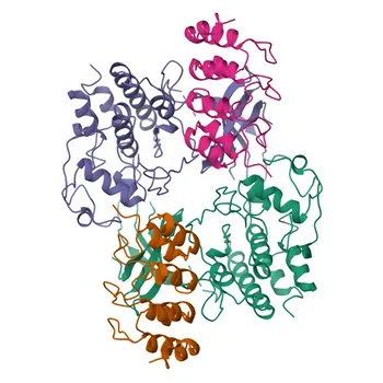 Anti-CDK6 Rabbit Monoclonal Antibody for WB and ELISA - Q00534