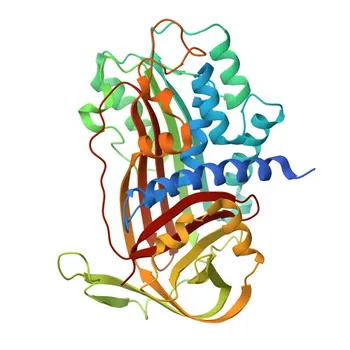 Anticorpo Policlonal de Coelho Anti-PAI-1/Serpina E1 para WB, IF/ICC, IF-P, ELISA - P05121
