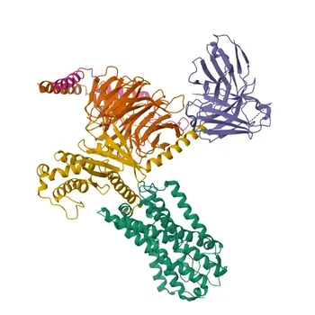 Anti-TACR3 Rabbit Polyclonal Antibody for WB and ELISA - P29371