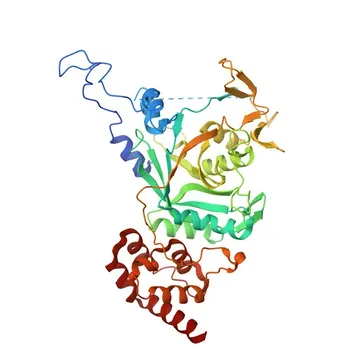 Anti-NPLOC4 Rabbit Polyclonal Antibody for WB - Q8TAT6