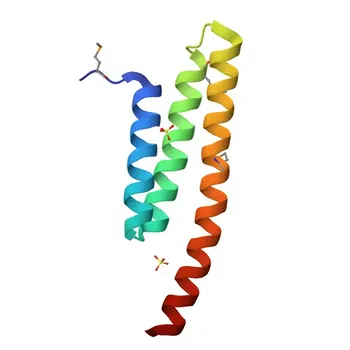 [KO Validated] Anti-NRBF2 Rabbit Polyclonal Antibody for WB, IHC-P, IF/ICC, ELISA - Q96F24