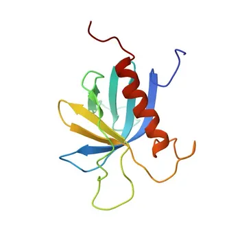 Anti-PRKD3 Rabbit Polyclonal Antibody for WB and ELISA - O94806