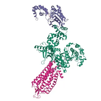 Anti-NTSR1 Polyclonal Antibody for WB and ELISA - P30989