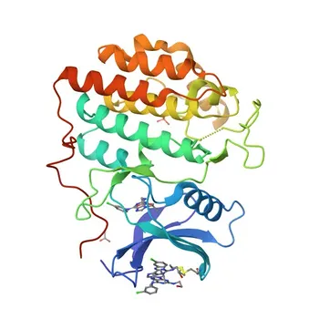 Anti-CSNK1G1 Kaninchen-polyklonaler Antikörper für WB und ELISA - Q9HCP0