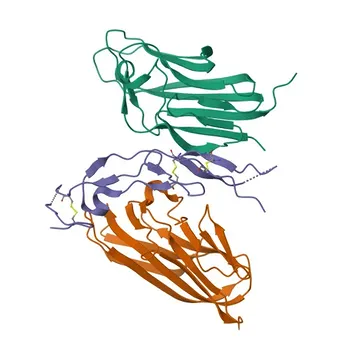 Anticorps polyclonal de lapin anti-EDAR pour WB, ELISA - Q9UNE0