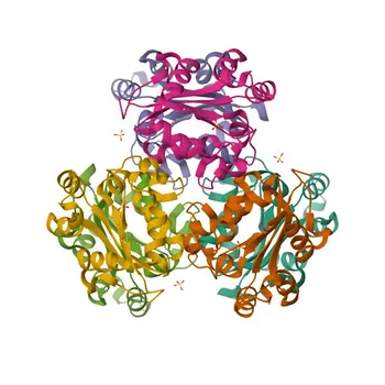 NME4 Rabbit pAb - O00746