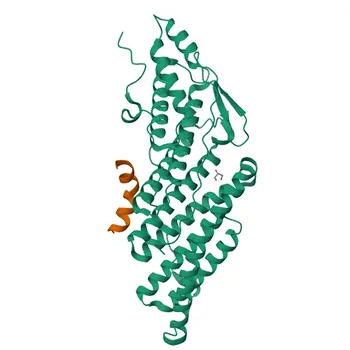 Anti-STAM2 Rabbit Polyclonal Antibody for WB, IF/ICC, ELISA - O75886