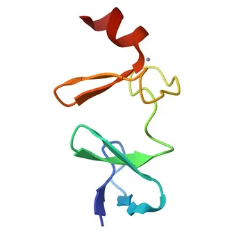 Anti-CSRP3 Rabbit Polyclonal Antibody - P50461