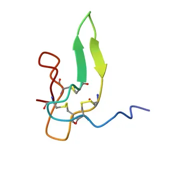 Anti-CART Rabbit Polyclonal Antibody for WB, IF/ICC, ELISA - Q16568