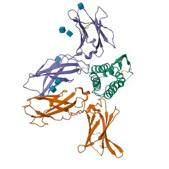 Anti-IL2RB (CD122/IL15RB) Polyclonal Antibody for WB, ELISA - P14784