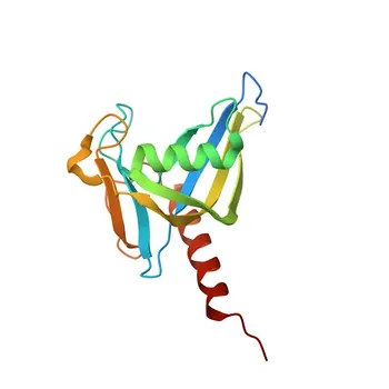 Anti-NUDT18 Polyclonal Antibody for WB, ELISA - Q6ZVK8