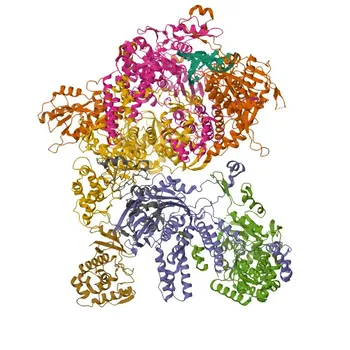 Anti-ANP32A Rabbit Polyclonal Antibody for WB, IHC-P, ELISA - P39687