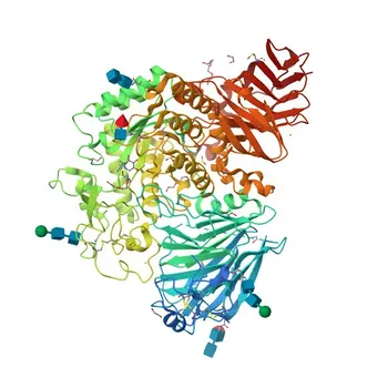 Anti-GAA Rabbit Polyclonal Antibody for WB, IF/ICC, ELISA - P10253