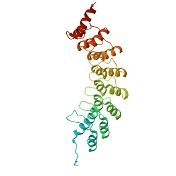 Anti-EHMT1 Polyclonal Antibody for WB and ELISA - Q9H9B1
