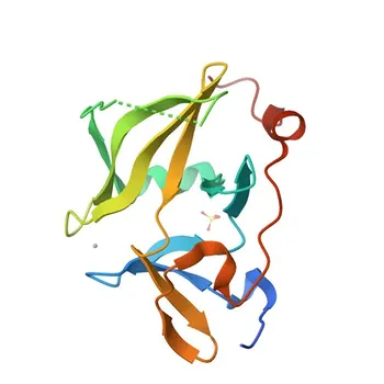 Anti-DHX58 Polyclonal Antibody for WB, IF/ICC, ELISA - Q96C10