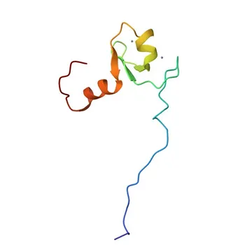 Anti-TRIM29 Polyclonal Antibody for WB, ELISA - Q14134