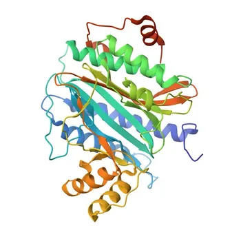 Anti-EBP1/PA2G4 Polyclonal Antibody for WB, IHC-P, ELISA - Q9UQ80